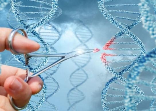 Harvard geneticist talks about creating an app for “DNA dating”