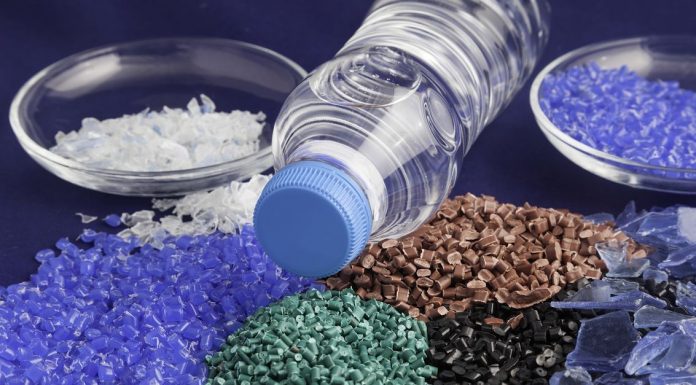 New tech turns plastic waste into food