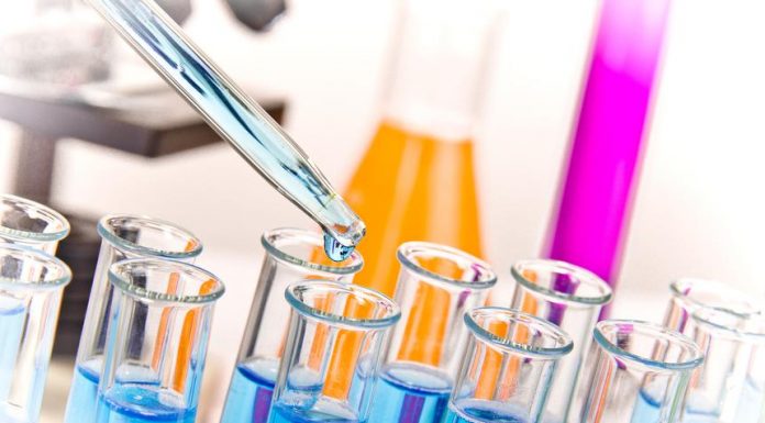 Antibodies to SARS-CoV-2 Remain Stable, or Even Increase, Seven Months after Infection