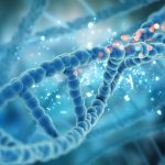 gene